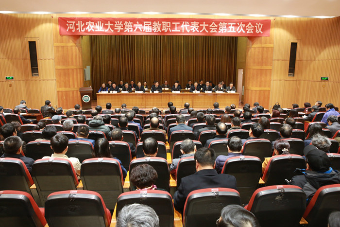 ��У�ٿ��������ְ����������